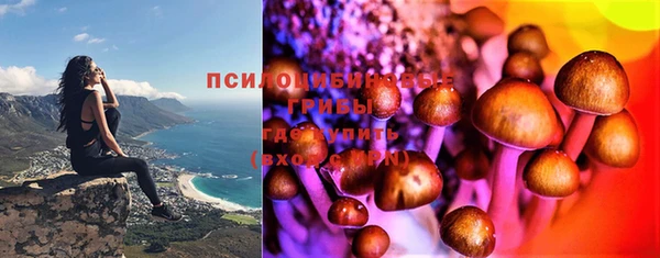 стаф Абинск