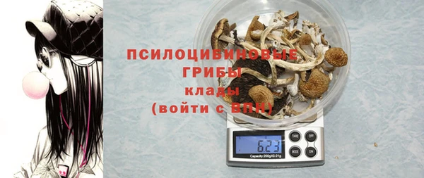 стаф Абинск