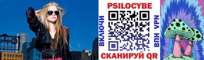 Псилоцибиновые грибы Psilocybe Кохма