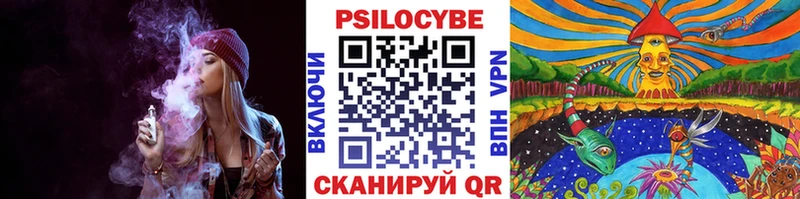 Псилоцибиновые грибы мицелий  цены наркотик  Кохма 