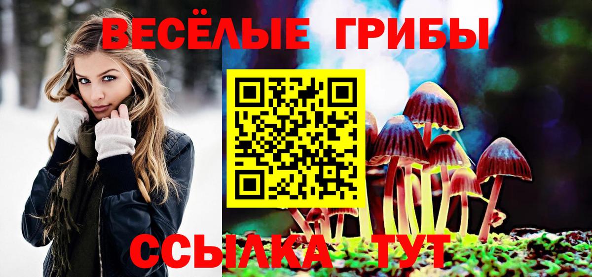 Псилоцибиновые грибы ЛСД  Галлюциногенные грибы Magic Shrooms  Кохма  Вход с VPN 
