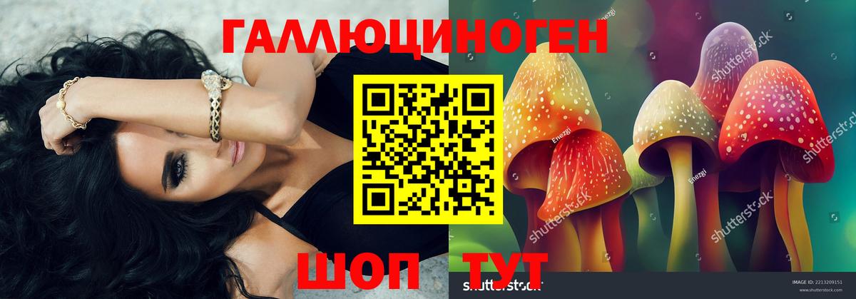 Галлюциногенные грибы Psilocybine cubensis Кохма